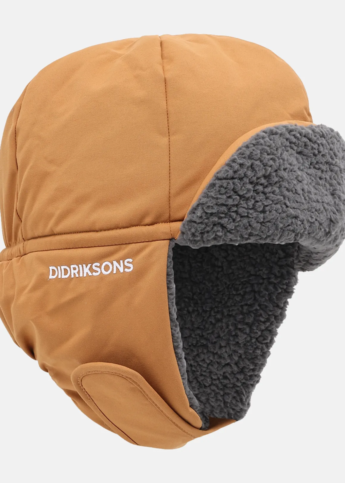 BIGGLES CAP 6