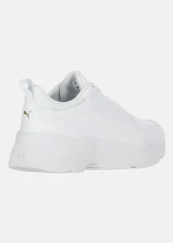 Cassia SL