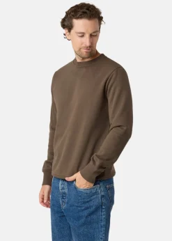 College Sweater