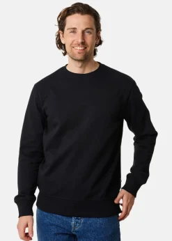 College Sweater