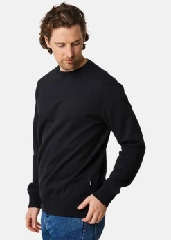 College Sweater