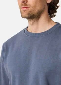 College Sweater