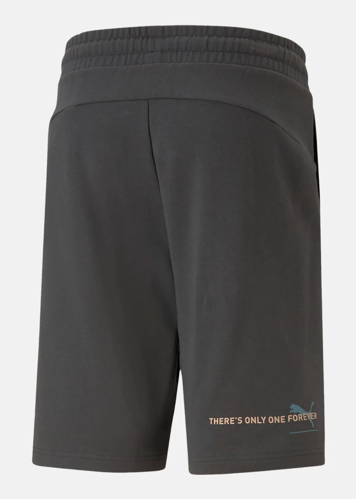 ESS BETTER Shorts 10" TR