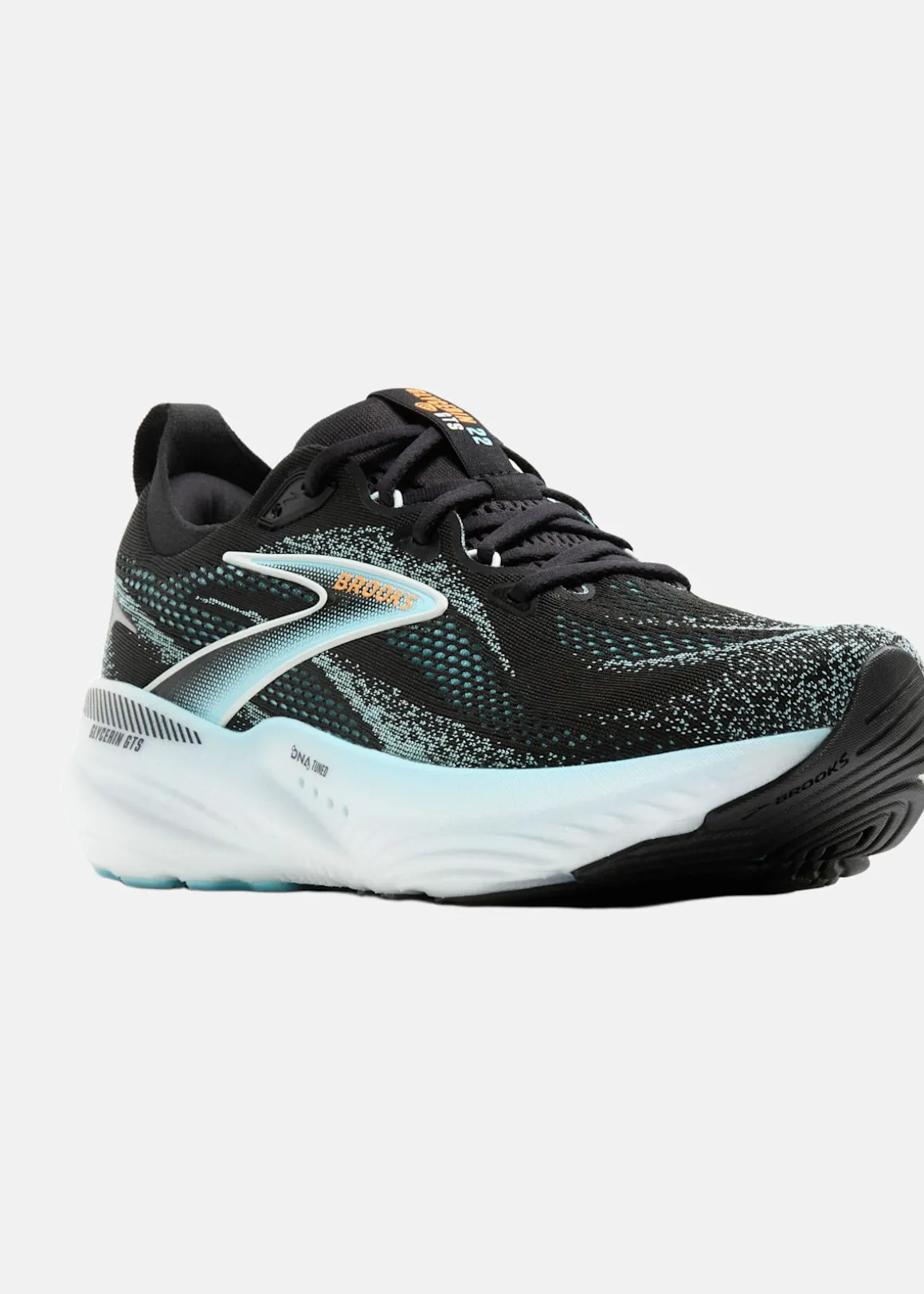 Glycerin GTS 22