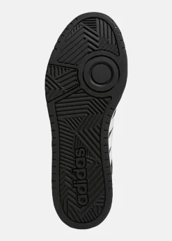 HOOPS 3.0