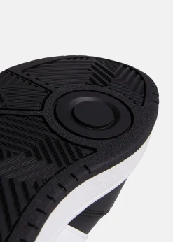 HOOPS 3.0