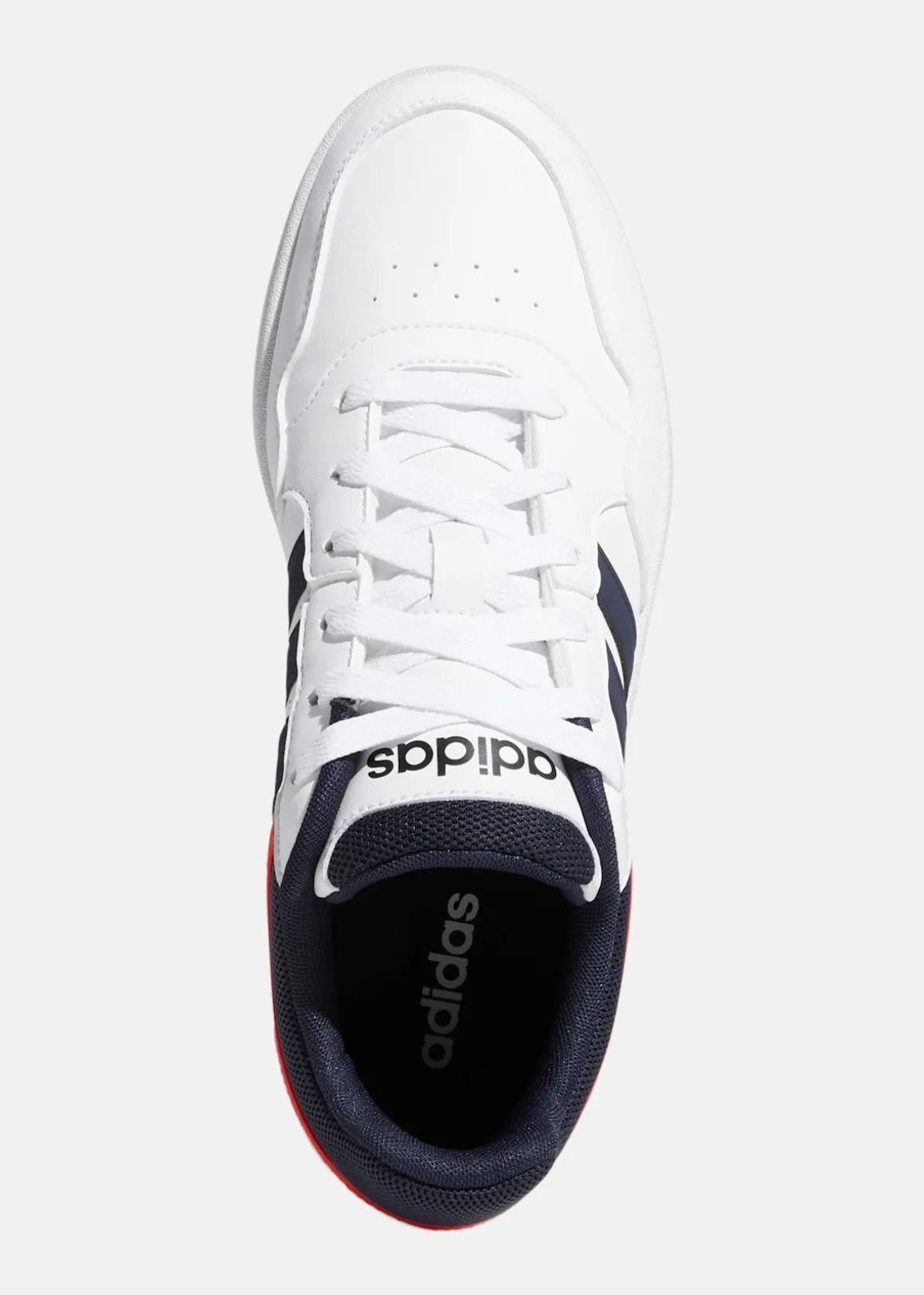 HOOPS 3.0