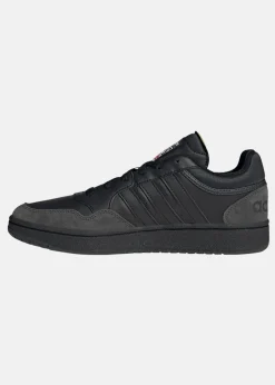 HOOPS 3.0