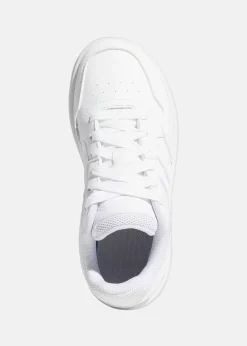 HOOPS 3.0 K