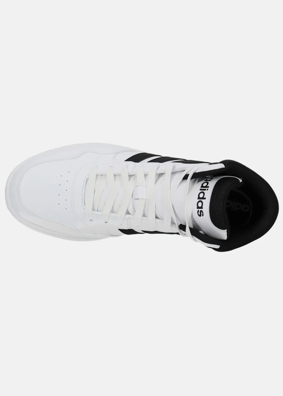 HOOPS 3.0 MID