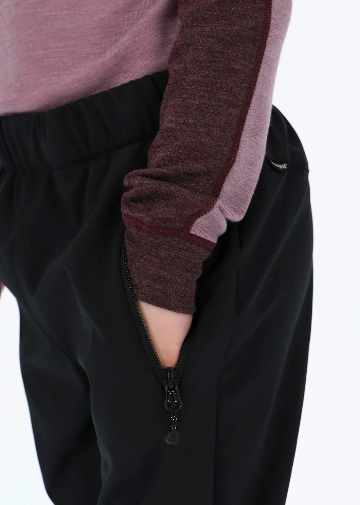 Ludo Softshell Pants W-PRO 800