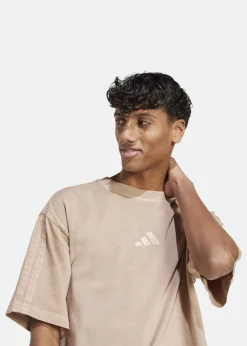 M A SZN W T