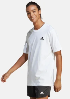 M SL SJ T