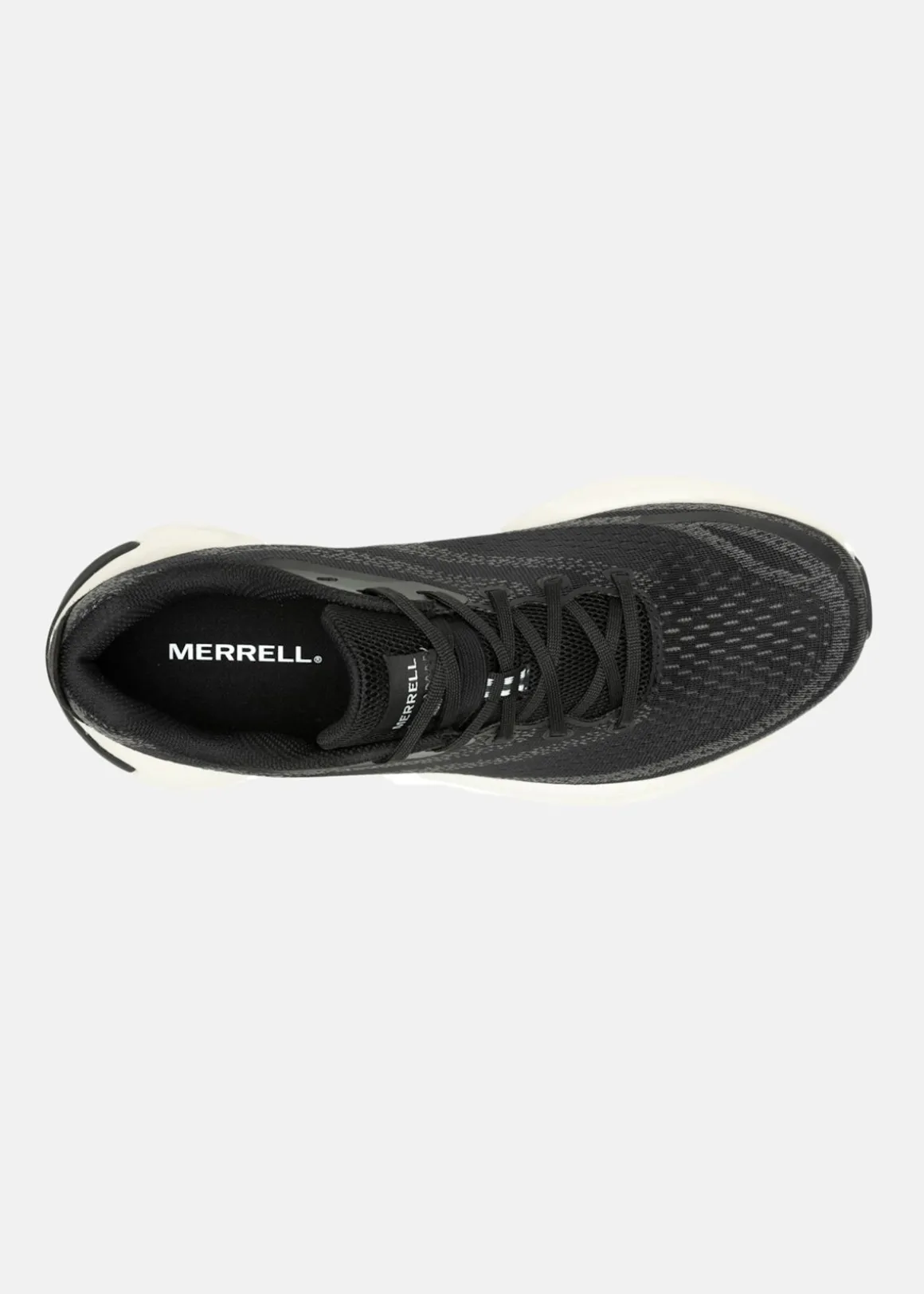 MORPHLITE
