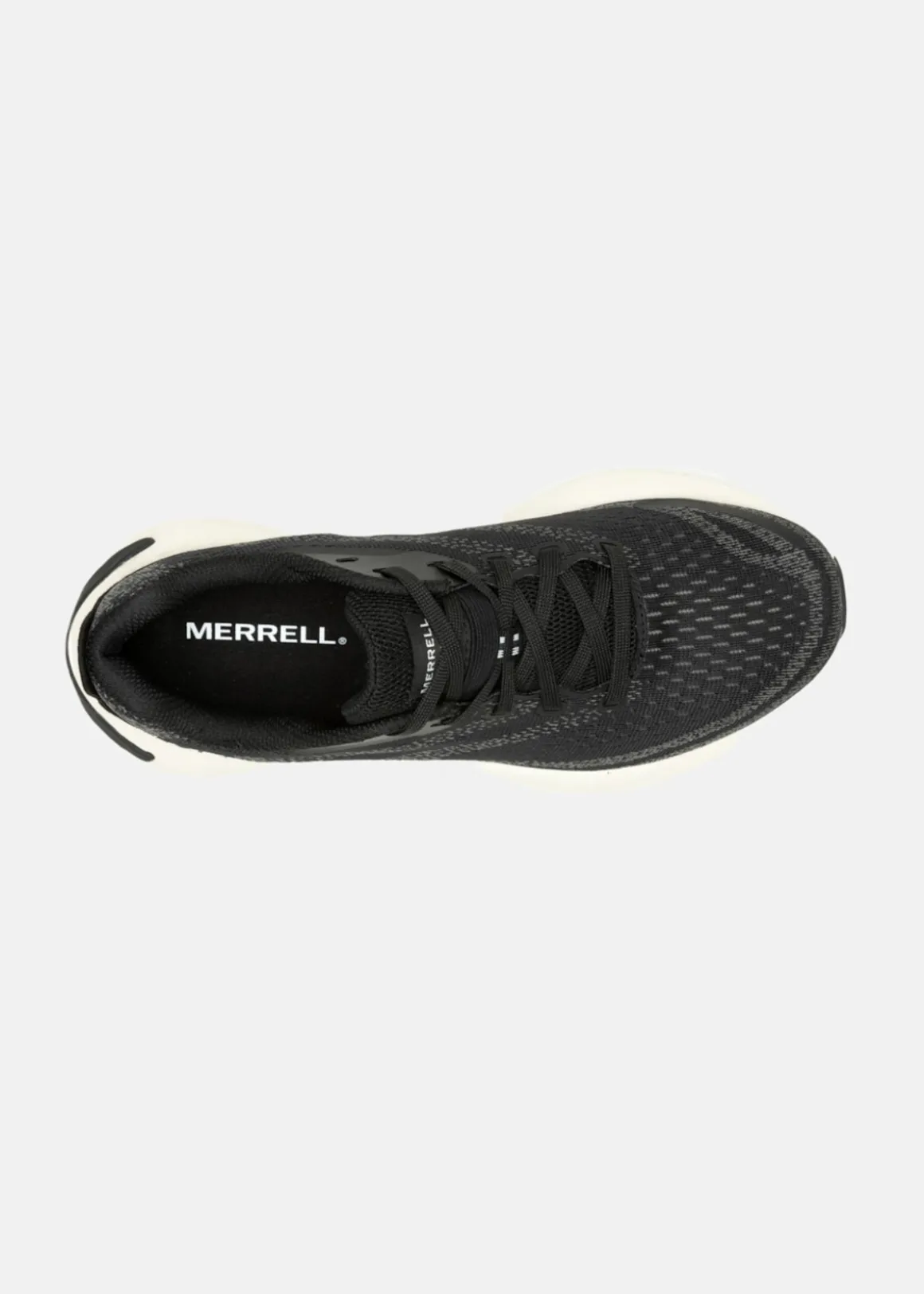 MORPHLITE