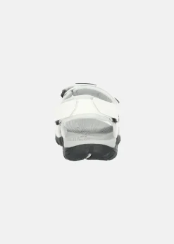 SPIDER PRO W