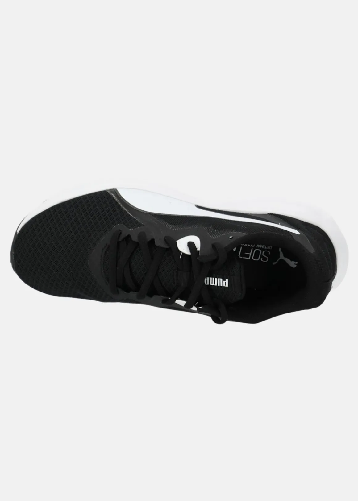 Twitch Runner Fresh