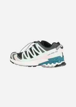 XA PRO 3D V9 GORE-TEX